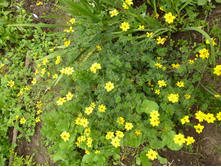 11.09.2013 22:07:07 �������-������� �������