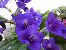 �������������