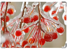 ������� �� ����� ������ �����.jpg