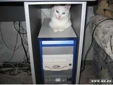 �� ��������?���� � ���!