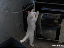 ����� ������!