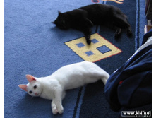 �������������