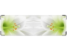 ��������� �����.jpeg