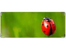 ������� ����� �������.jpeg