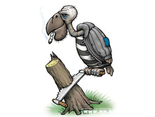 ��� ������������