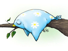 ������ ��������