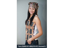 ���(�) ( ���������� �����)+������� ���������� ����� 1070 ���.