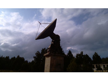 IMAG0981.jpg