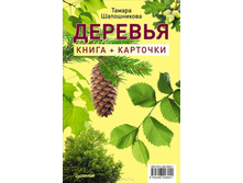 �������. ����� + ��������  97�