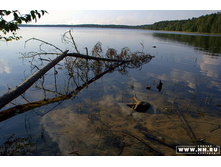 ����� ������