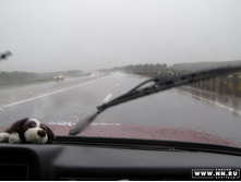 ������ (Good rain)