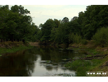 ���� ���