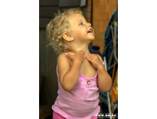 ����, ������ ���������