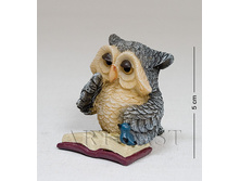 ���� 75 ���.