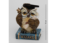 ���� 240 ���.