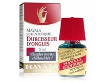 ������ ���������