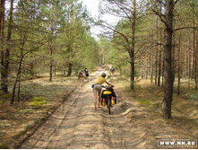 ���������� ����