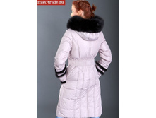 2000 �����.jpg