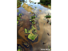 �.���, ��� � �����