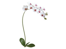 FG 6001 ����� ������� 384,30.jpg