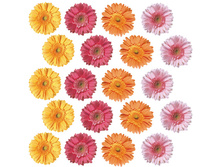 ������� 209,30.jpg