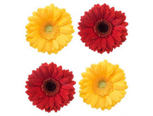 FE 2007 ������� �������-֣���� 69,30.jpg