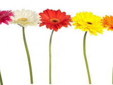 FE 4005 ������� ������������ 153,30.jpg