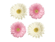 FE 2008 ������� �������-����� 69,30.jpg