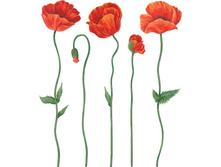 D2025 ���� 538,30.jpg