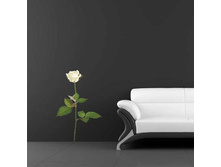 FE 5001 ���� ����� ���� ������� 244,30.jpg