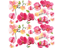 ������� ������� 174,30.jpg