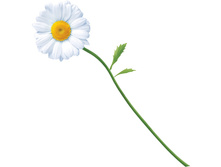 D2021 ������� 244,30.jpg