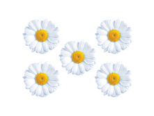 A 10-52 ������� 209,30.jpg