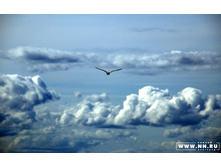 ��������, ��� ��� ��, ��� ������