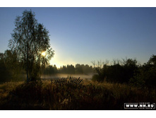 ������ ����