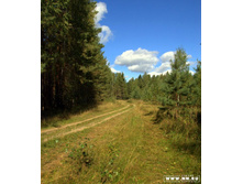 ������ ������