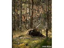 �������� �����