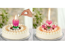 ����� ����������� ��� ����� ��������  110 ���.