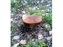 2013-08-15 11.58.37.jpg