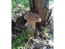 2013-08-28 13.39.44.jpg