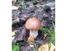 2013-08-15 10.27.30.jpg