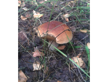 2013-08-15 10.46.06.jpg