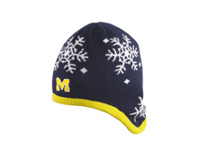 145� Michigan Wolverines ����� ��� ������� � ������� �������� �����-����� � ������.jpg