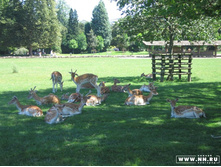 ���� � �����