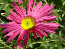 ���������� 30�