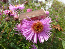 ����� ����.���������������,  ����� �������