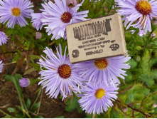 ����� ����.���������������