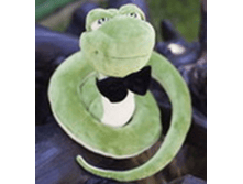 ���� ������