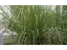 ������� 163 ���..jpeg