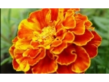 �������� 114 ���..jpeg